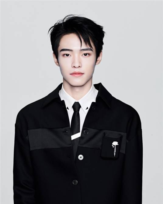 施展(中国内地流行乐男歌手、影视演员)