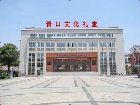 青口村(浙江省金华市义乌市江东街道下辖村)
