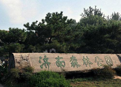 济南森林公园