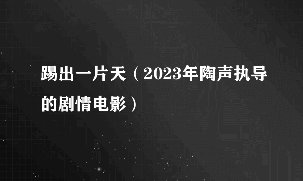 踢出一片天(2023年陶声执导的剧情电影)