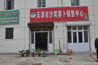 天津市沙窝萝卜销售中心