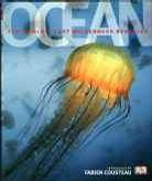 Ocean（世界上最后的处女地-海洋）