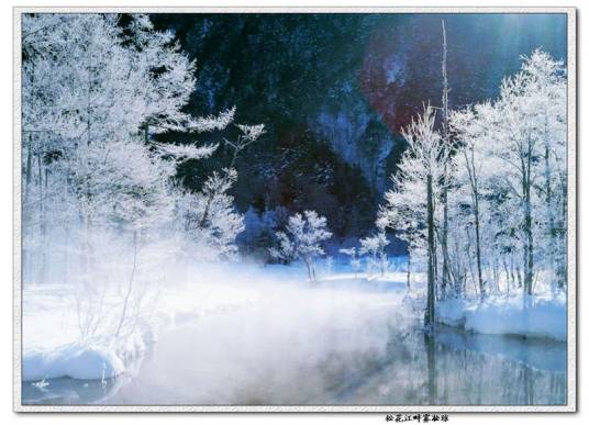 松江雾凇