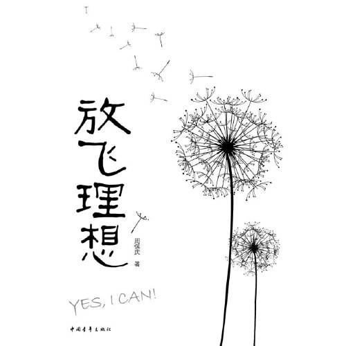 放飞理想（2011年中国青年出版社出版的图书）