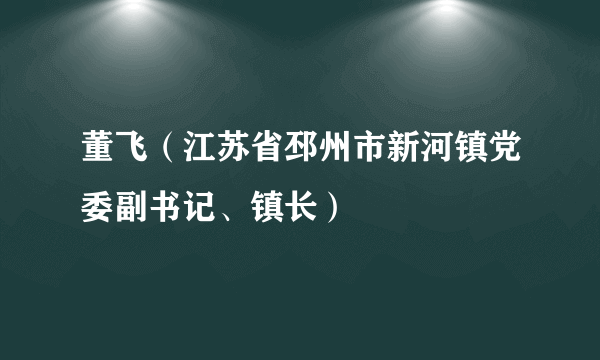 董飞（江苏省邳州市新河镇党委副书记、镇长）