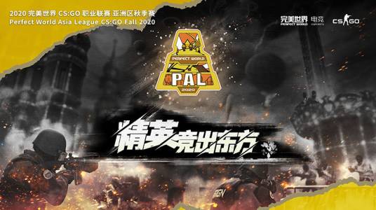 PAL(完美世界代理的反恐精英:全球攻势职业联赛)