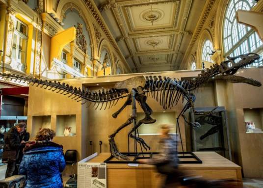 KAN(异特龙的骸骨)