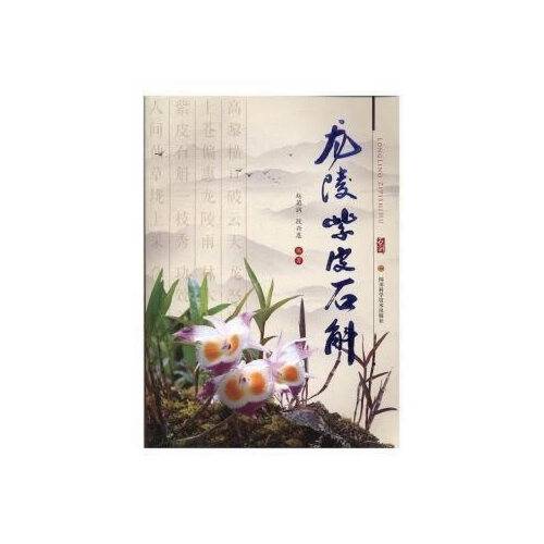 龙陵紫皮石斛(2017年四川科技出版社出版的图书)