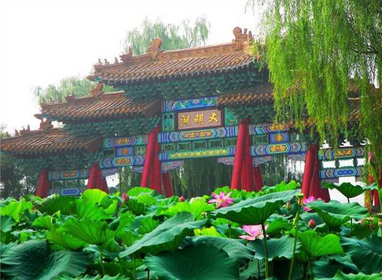 济南大明湖荷花节