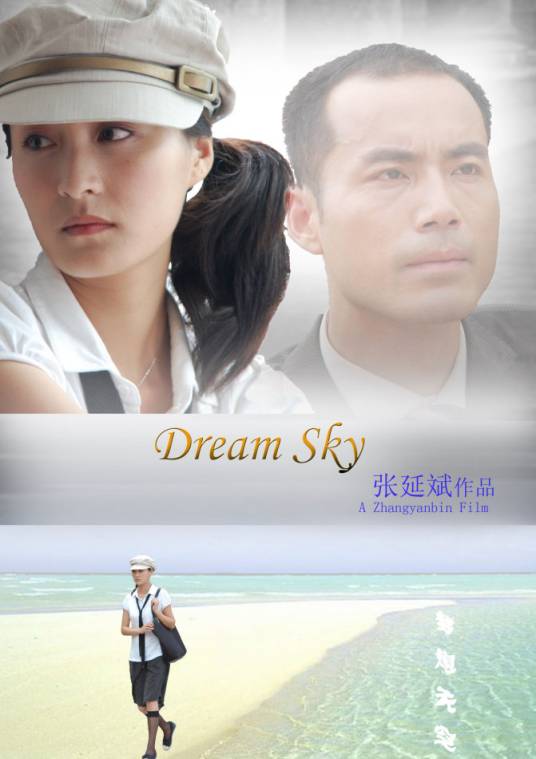 梦想天空(2008年张延斌执导的爱情励志喜剧电影)