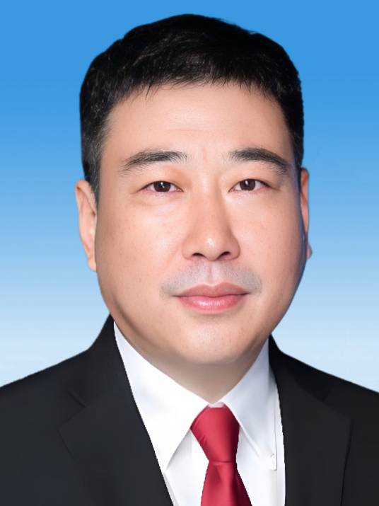 林刚(海南省三沙市人民政府党组成员、副市长,三沙市公安局党委书记、局长)