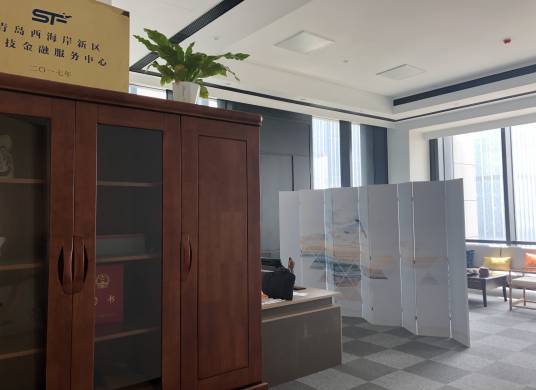 青岛蓝海创投管理咨询有限公司