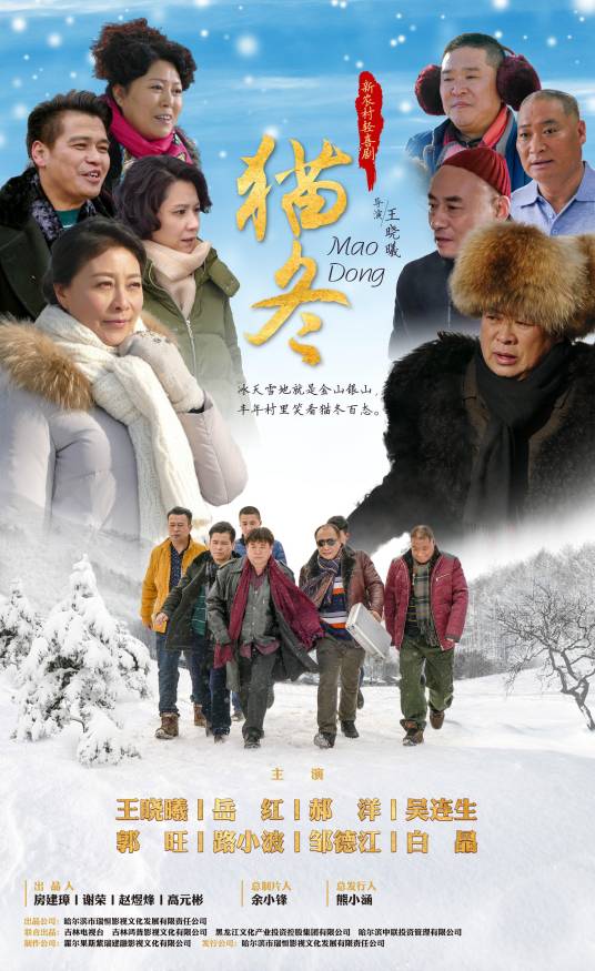 猫冬（2020年王晓曦执导的电视剧）