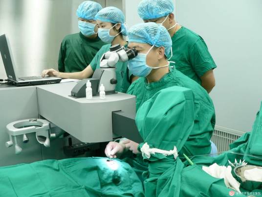 选择性阴茎背神经切断术