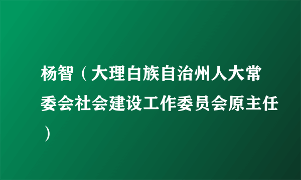 杨智(大理白族自治州人大常委会社会建设工作委员会原主任)