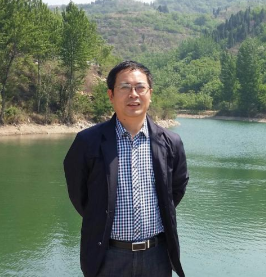 王青（山东大学历史文化学院考古系教授）