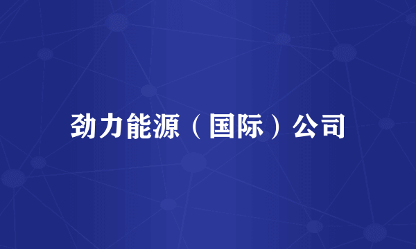 劲力能源(国际)公司