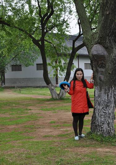 崔静(周口师范学院教师)