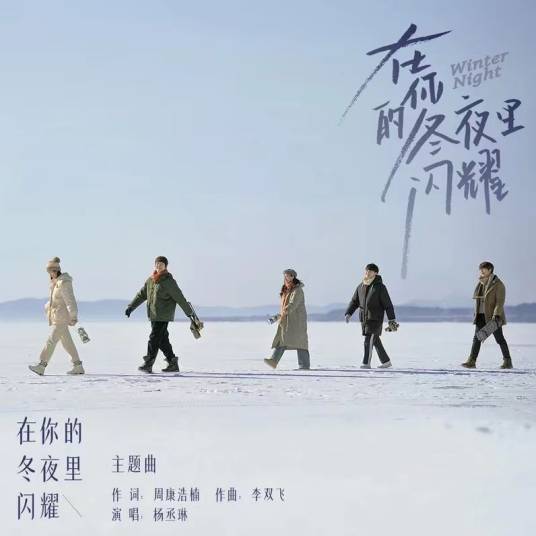 在你的冬夜里闪耀(2022年杨丞琳演唱的歌曲)