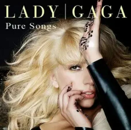 Wonderful(2010年美国歌手Lady Gaga演唱的歌曲)