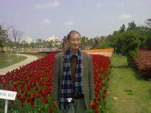 杨淼（中国现代作家）