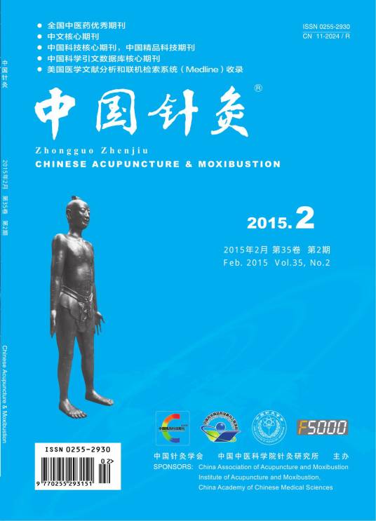 中国针灸(杂志)