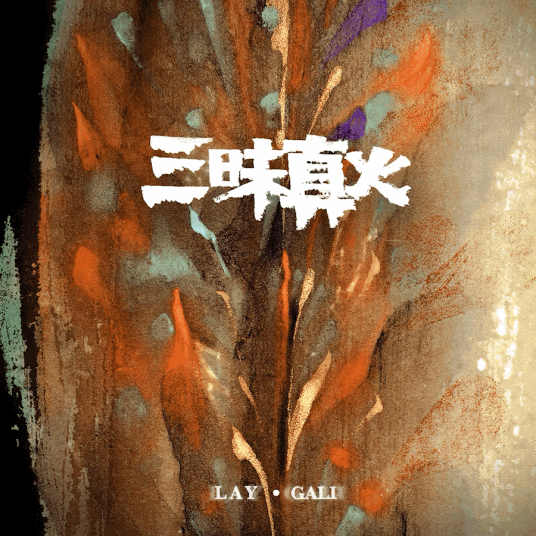 三昧真火(2021年张艺兴和Gali演唱的歌曲)