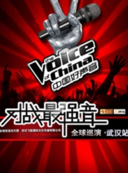 2013中国好声音武汉演唱会