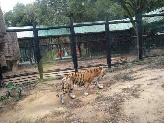 镇江开心动物园