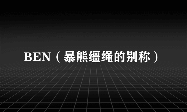 BEN(暴熊缰绳的别称)