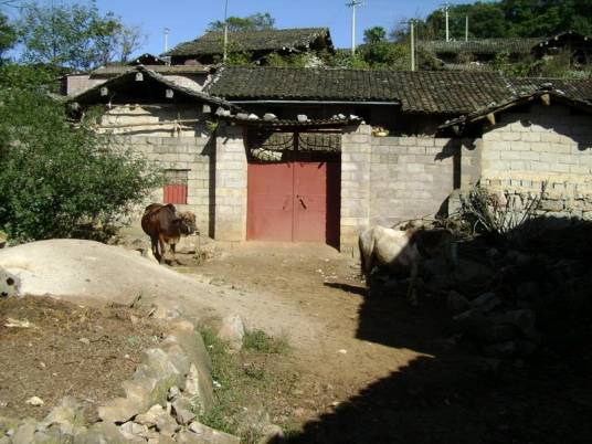 白洞村(云南丘北县腻脚乡下辖村)