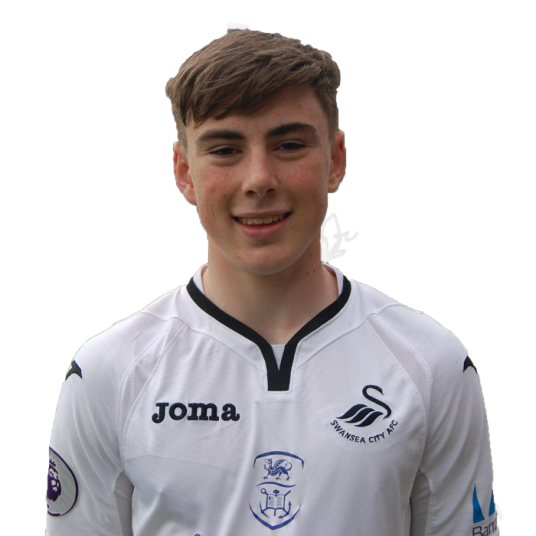 丹尼尔·威廉姆斯(威尔士足球运动员)