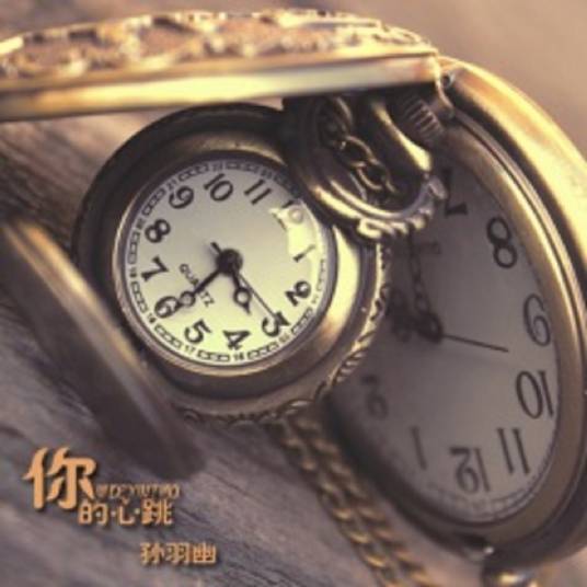 你的心跳（孙羽幽演唱的歌曲）