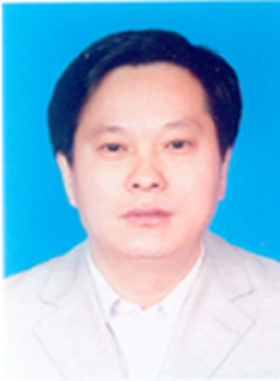 毛锋(清华大学建筑学院3S中心副主任)