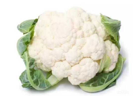 凯丽(十字花科芸薹属植物)