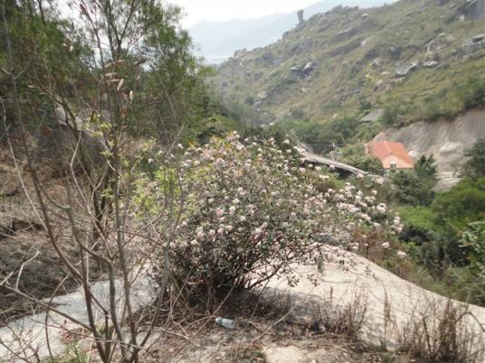 潮州白云岩风景区