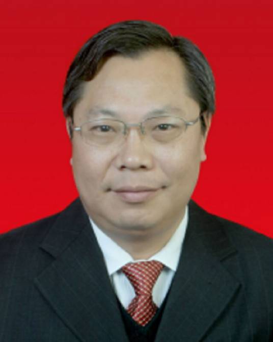 陈光明（湖北省襄阳市谷城县人大常委会主任）