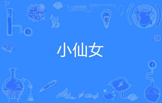 小仙女(网络流行词)