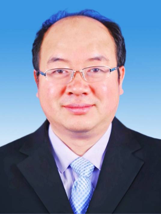 王立峰(南京航空航天大学航空学院教授)