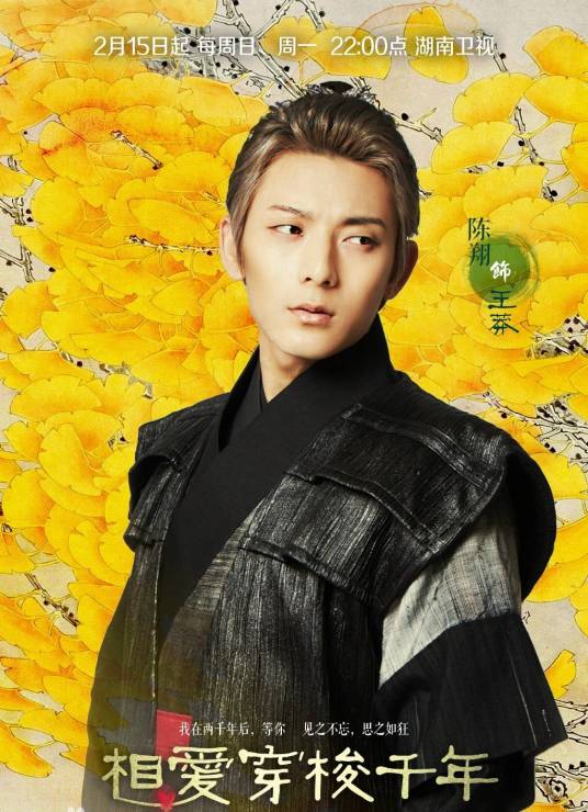 王莽(电视剧《相爱穿梭千年》中的人物)