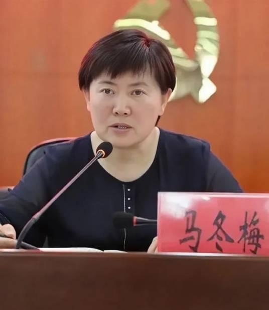 马冬梅（北京市平谷区人民政府党组成员、副区长）