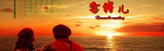 老伴儿(2013年孙振东导演的爱情影片)