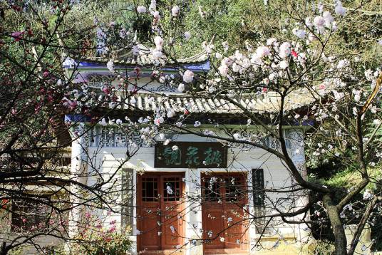 昆明市郊野公园