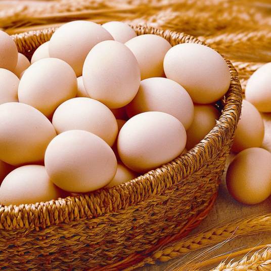 春姑娘虫子鸡蛋