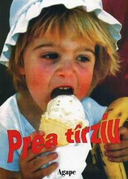 太迟（1996年上映的罗马尼亚剧情电影）