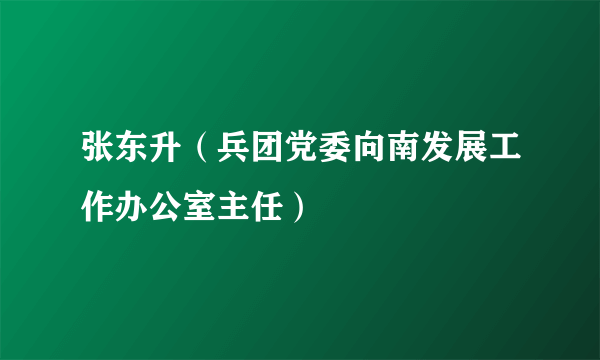 张东升（兵团党委向南发展工作办公室主任）