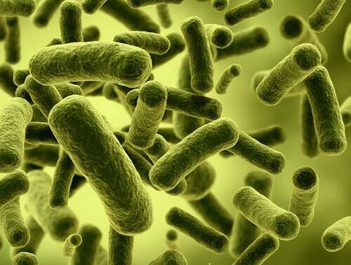 微生物代谢组学