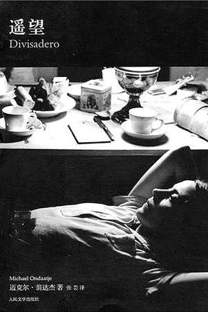 遥望(迈克尔·翁达杰著长篇小说)