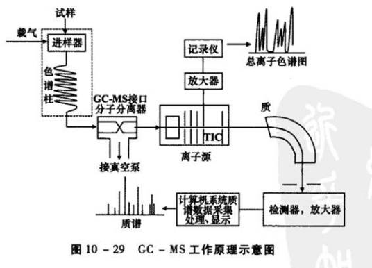 气相色谱—质谱分析