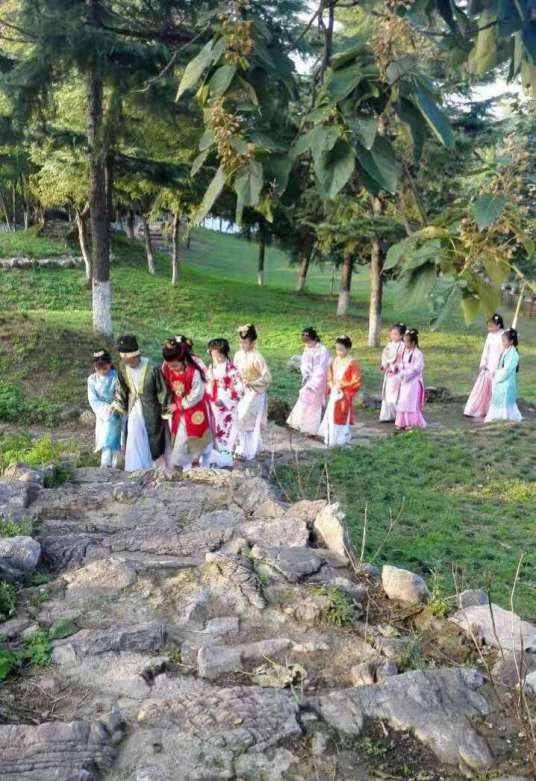 红楼梦（2017年高占全执导的电影）